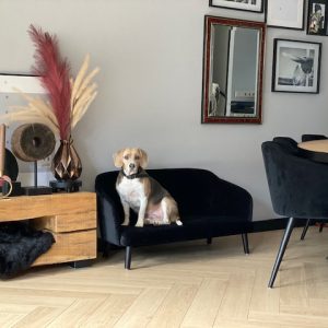 Luxe hondenbank